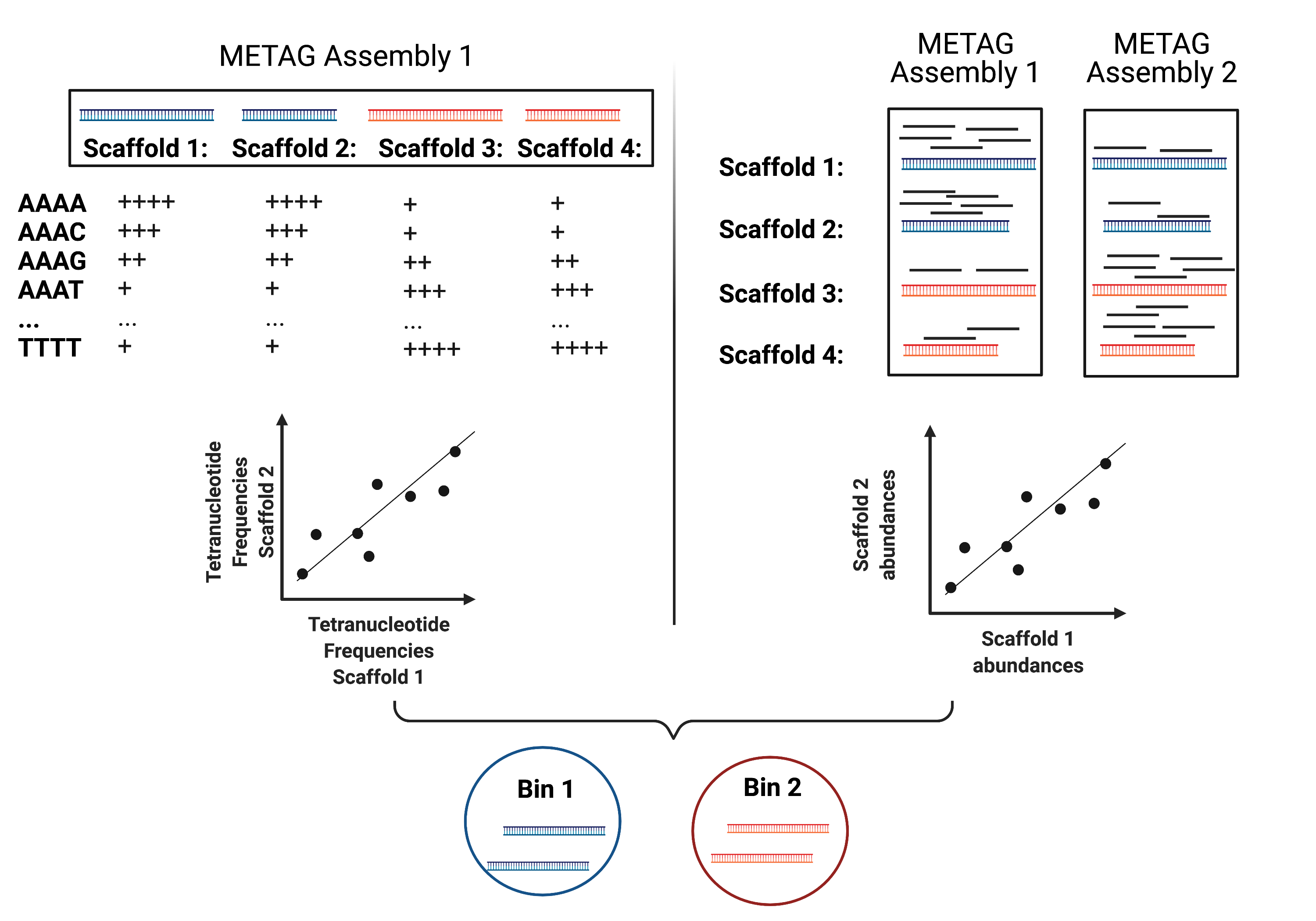 ../_images/Metagenomic_Binning.png