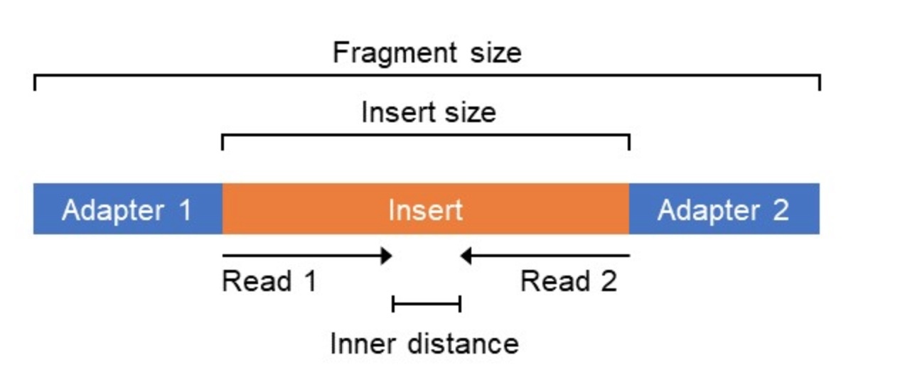 ../_images/insert_explanation.jpg