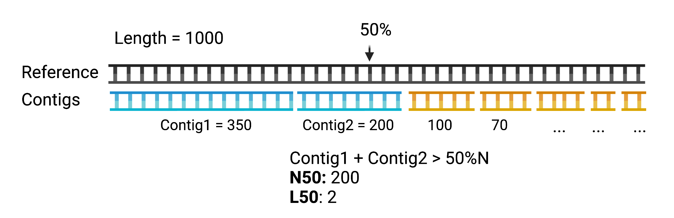 ../_images/n50.png